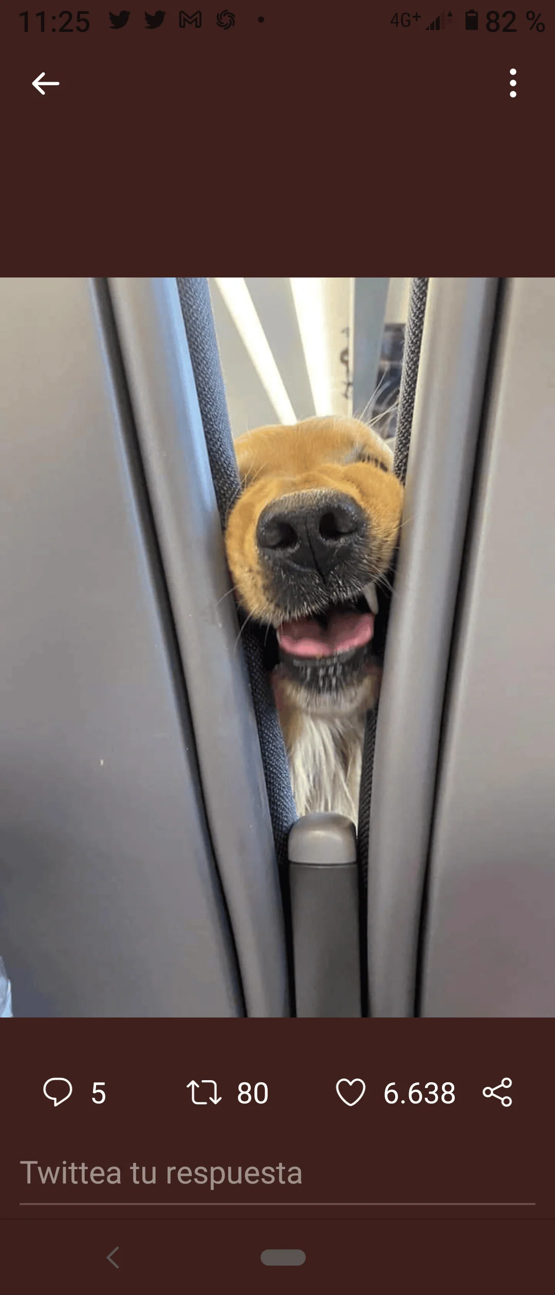 Carlos Fornelino Omella