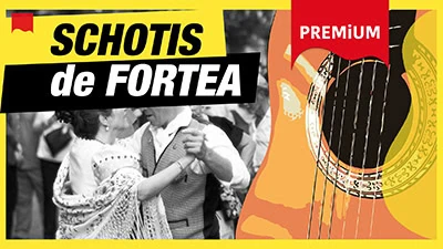 schotis de fortea