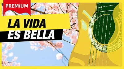la vida es bella guitarra